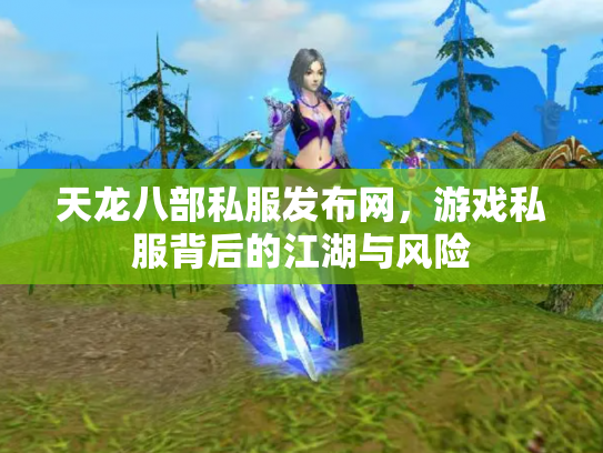 天龙八部私服发布网，游戏私服背后的江湖与风险