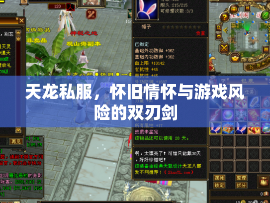 天龙私服，怀旧情怀与游戏风险的双刃剑