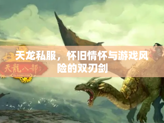 天龙私服，怀旧情怀与游戏风险的双刃剑