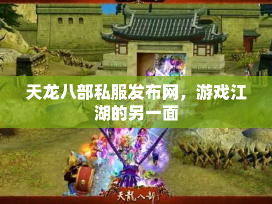 天龙八部私服发布网，游戏江湖的另一面