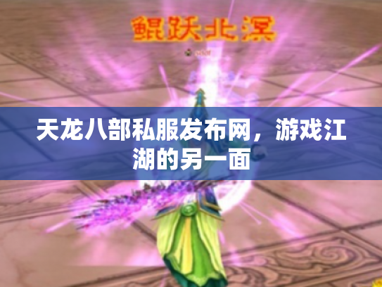 天龙八部私服发布网，游戏江湖的另一面
