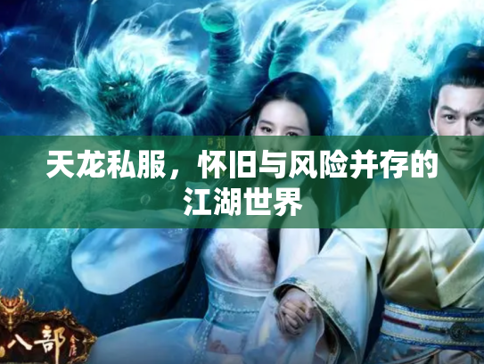 天龙私服，怀旧与风险并存的江湖世界