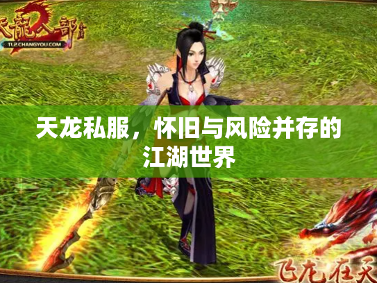 天龙私服，怀旧与风险并存的江湖世界