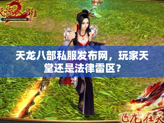 天龙八部私服发布网，玩家天堂还是法律雷区？