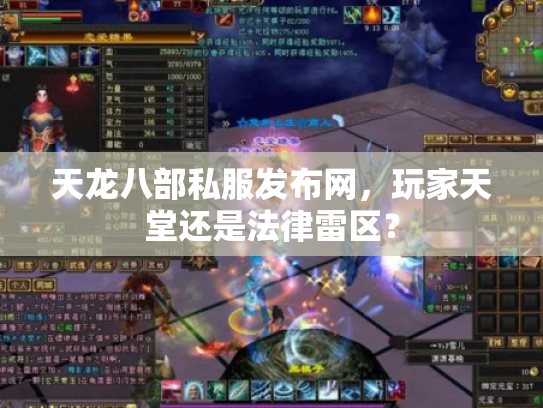 天龙八部私服发布网，玩家天堂还是法律雷区？