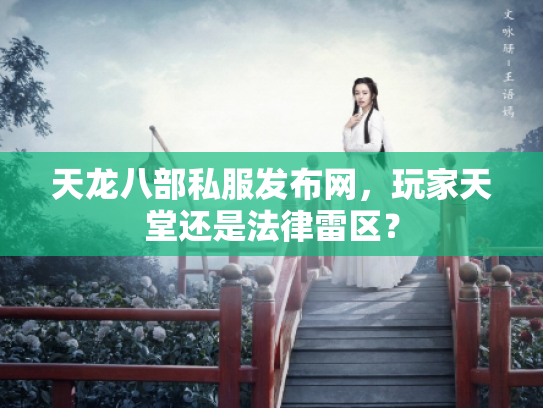 天龙八部私服发布网，玩家天堂还是法律雷区？