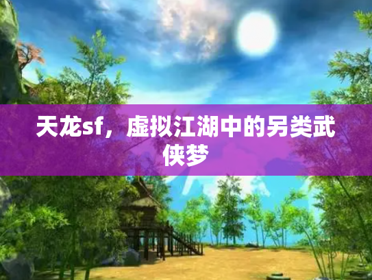 天龙sf，虚拟江湖中的另类武侠梦