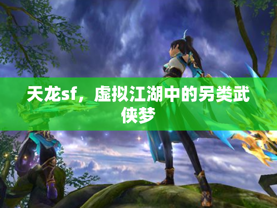 天龙sf，虚拟江湖中的另类武侠梦