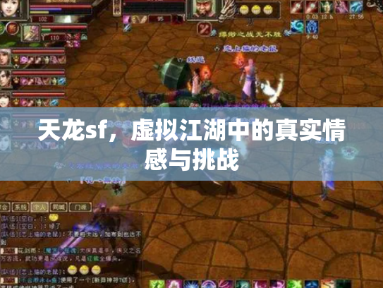 天龙sf，虚拟江湖中的真实情感与挑战