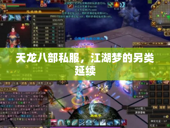 天龙八部私服，江湖梦的另类延续