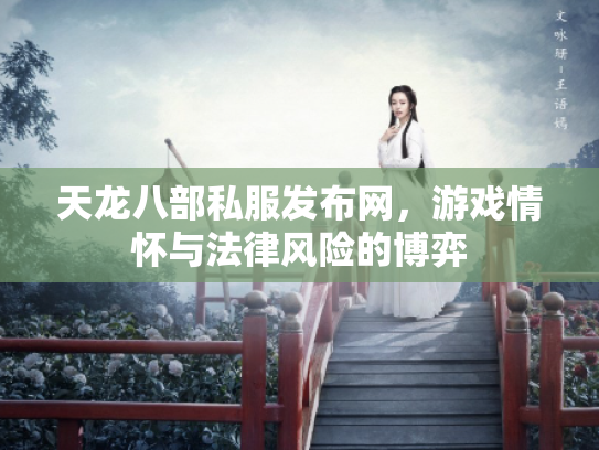 天龙八部私服发布网，游戏情怀与法律风险的博弈