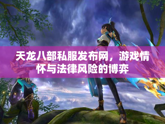 天龙八部私服发布网，游戏情怀与法律风险的博弈