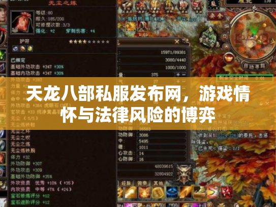 天龙八部私服发布网，游戏情怀与法律风险的博弈