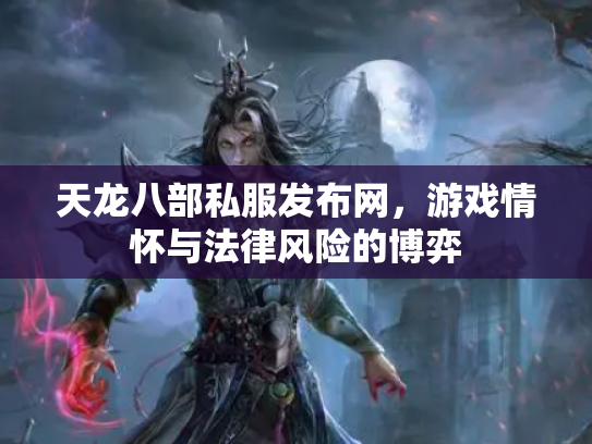 天龙八部私服发布网，游戏情怀与法律风险的博弈
