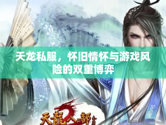 天龙私服，怀旧情怀与游戏风险的双重博弈