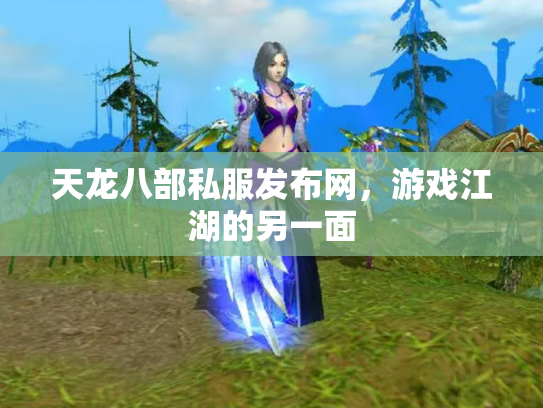 天龙八部私服发布网，游戏江湖的另一面