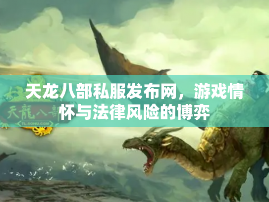 天龙八部私服发布网，游戏情怀与法律风险的博弈