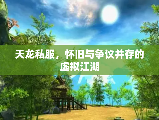 天龙私服，怀旧与争议并存的虚拟江湖