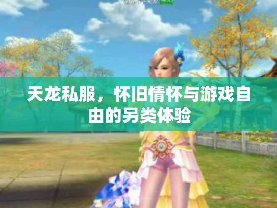 天龙私服，怀旧情怀与游戏自由的另类体验