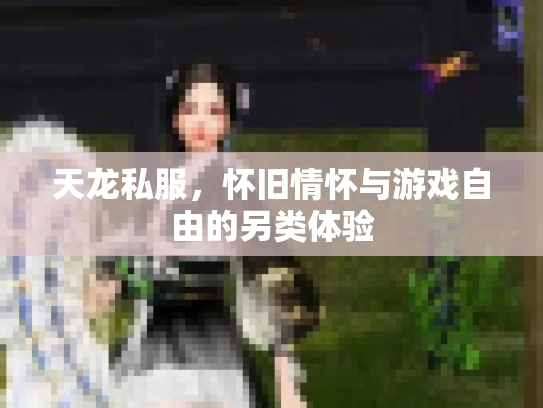 天龙私服，怀旧情怀与游戏自由的另类体验