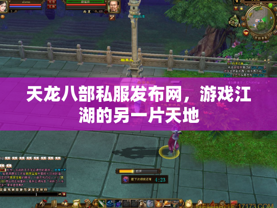 天龙八部私服发布网，游戏江湖的另一片天地