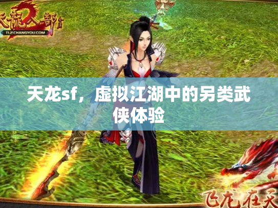 天龙sf，虚拟江湖中的另类武侠体验