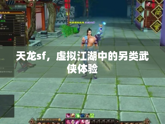天龙sf，虚拟江湖中的另类武侠体验