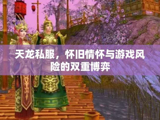 天龙私服，怀旧情怀与游戏风险的双重博弈