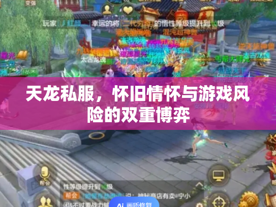 天龙私服，怀旧情怀与游戏风险的双重博弈