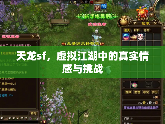 天龙sf，虚拟江湖中的真实情感与挑战
