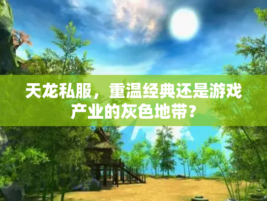 天龙私服，重温经典还是游戏产业的灰色地带？