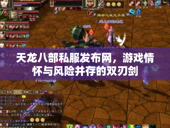 天龙八部私服发布网，游戏情怀与风险并存的双刃剑