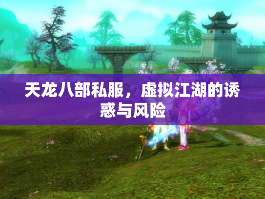天龙八部私服，虚拟江湖的诱惑与风险