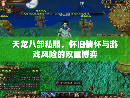 天龙八部私服，怀旧情怀与游戏风险的双重博弈