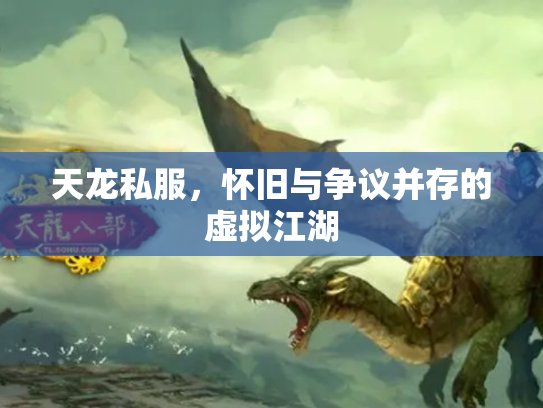 天龙私服，怀旧与争议并存的虚拟江湖