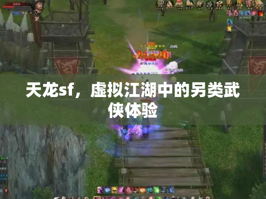 天龙sf，虚拟江湖中的另类武侠体验