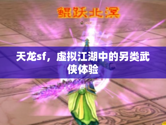 天龙sf，虚拟江湖中的另类武侠体验