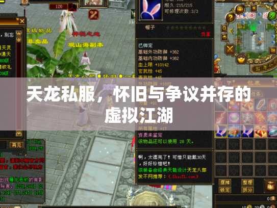 天龙私服，怀旧与争议并存的虚拟江湖