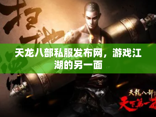 天龙八部私服发布网，游戏江湖的另一面