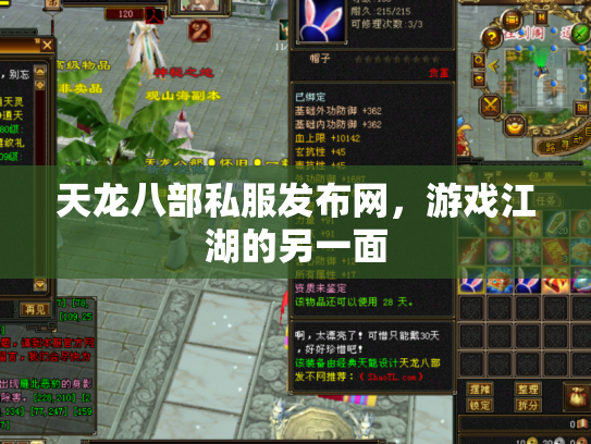 天龙八部私服发布网，游戏江湖的另一面