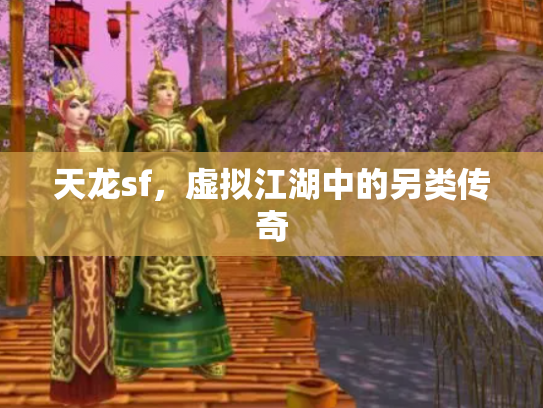 天龙sf，虚拟江湖中的另类传奇