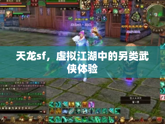 天龙sf，虚拟江湖中的另类武侠体验