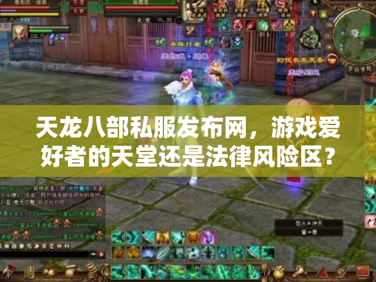 天龙八部私服发布网，游戏爱好者的天堂还是法律风险区？