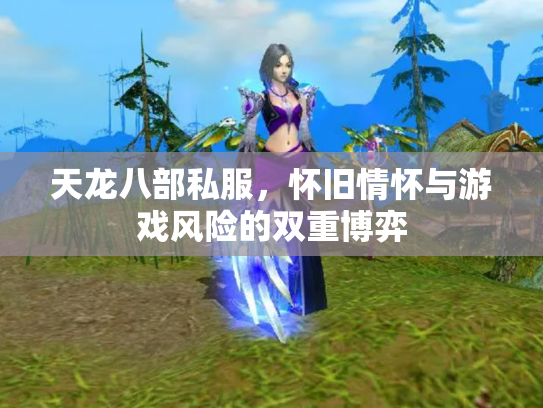 天龙八部私服，怀旧情怀与游戏风险的双重博弈