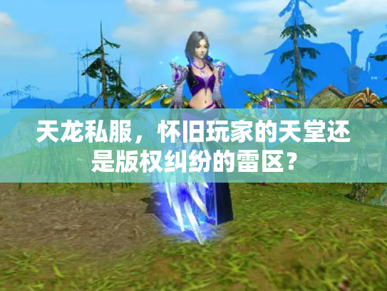 天龙私服，怀旧玩家的天堂还是版权纠纷的雷区？