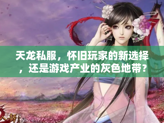 天龙私服，怀旧玩家的新选择，还是游戏产业的灰色地带？