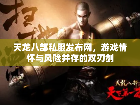 天龙八部私服发布网，游戏情怀与风险并存的双刃剑