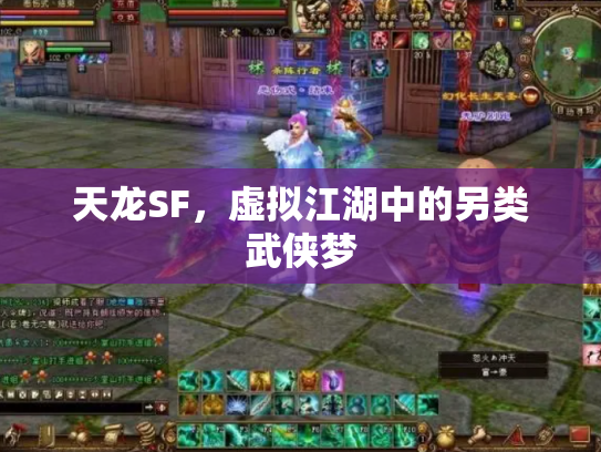 天龙SF，虚拟江湖中的另类武侠梦