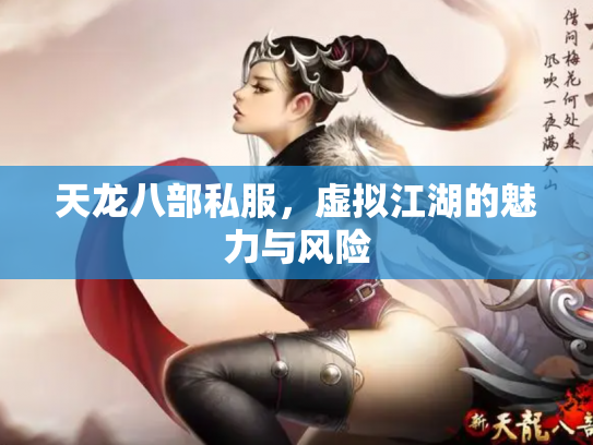天龙八部私服，虚拟江湖的魅力与风险