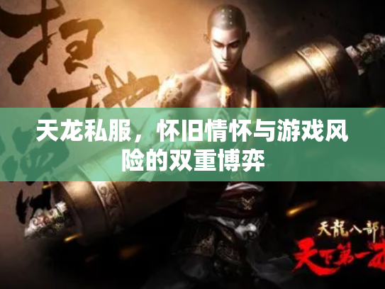 天龙私服，怀旧情怀与游戏风险的双重博弈